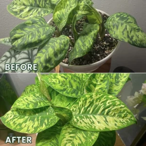 LIMETOW® Universal Plant Nutrient Solution