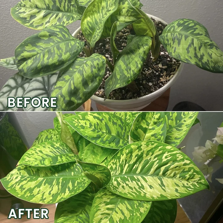 LIMETOW® Universal Plant Nutrient Solution