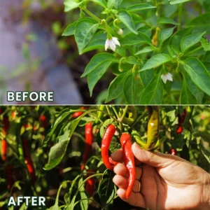 LIMETOW® Universal Plant Nutrient Solution