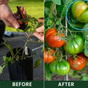 LIMETOW® Universal Plant Nutrient Solution